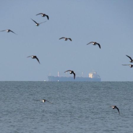 Petit Nid A 50M De La Plage Au Coeur De Fouras Exterior foto